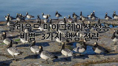 클라우드 마이그레이션 성공 비법 🚀✨ 3가지 핵심 전략