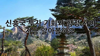 신흥국 투자, 기회와 함정 사이? 💰 지금 알아볼까요?