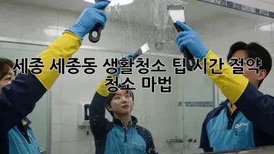 세종 세종동 생활청소 팁: 시간 절약 청소 마법!